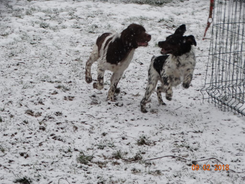 de la vallée de la Py - LES DEUX S' ECLATE DANS LA NEIGE