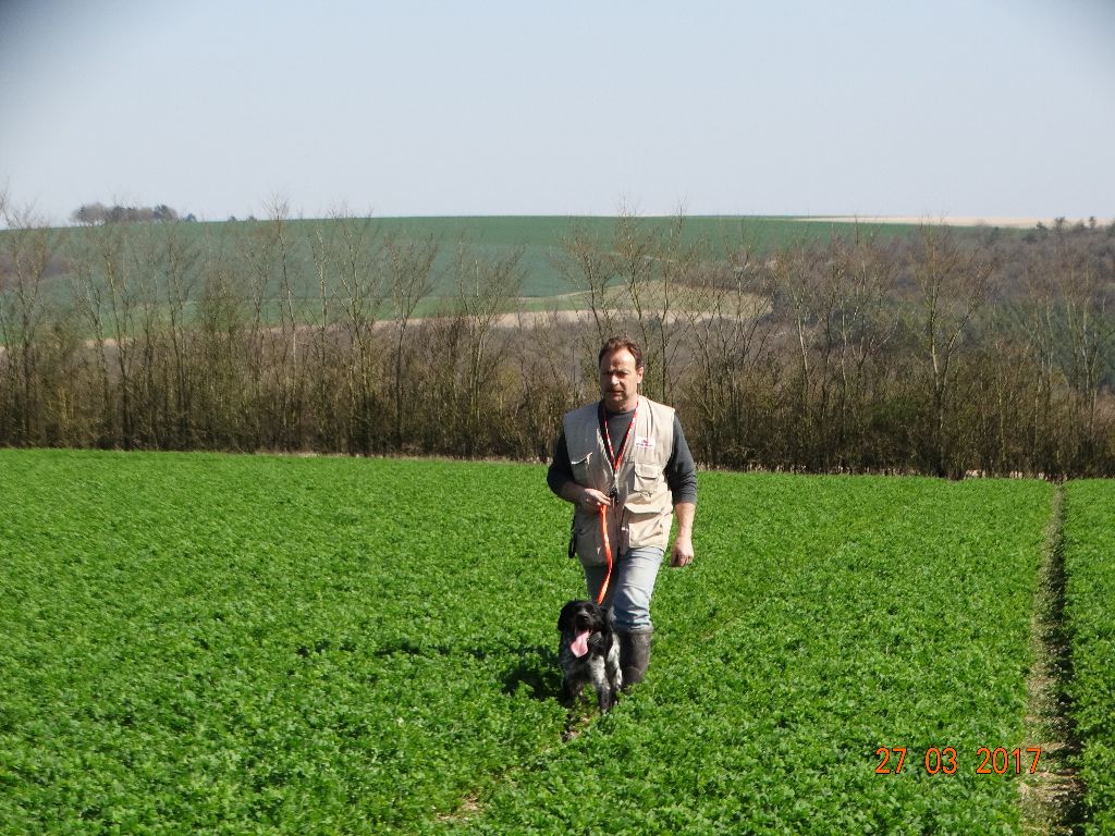 de la vallée de la Py - CONCOURS DE FIELD TRIAL DE PRINTEMPS 2017