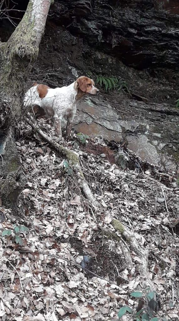 de la vallée de la Py - Reçu une photo de Romy de la vallée de la py merci