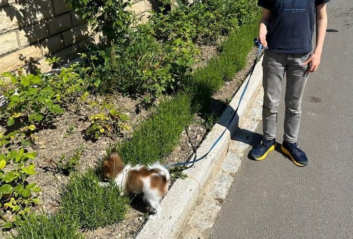 de la vallée de la Py - Reçu une photo de Viko de la vallée de la py merci