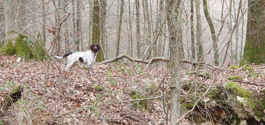 de la vallée de la Py - Reçu une photo de Talya de la vallée de la py merci