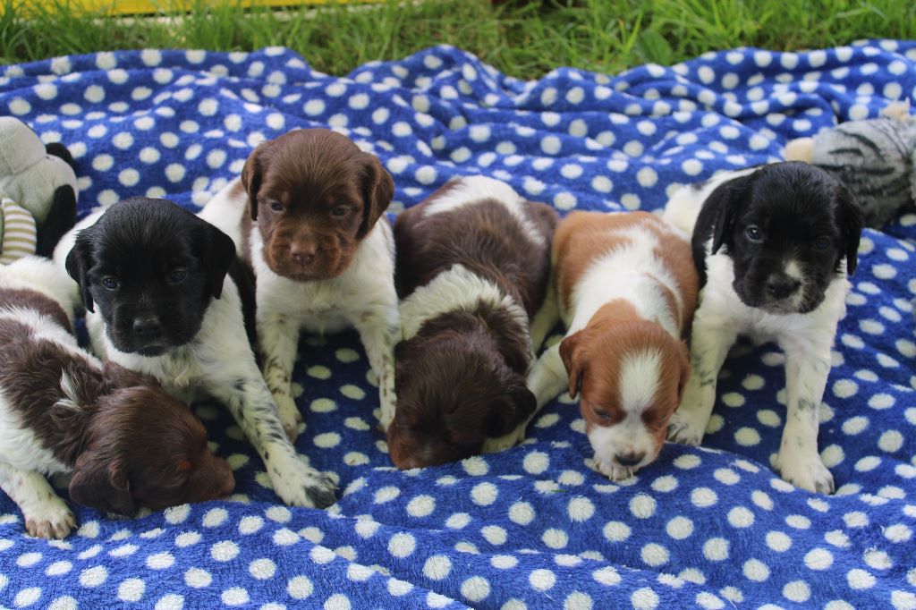 de la vallée de la Py - Une photo des bébés premiére sortie