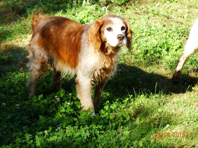 de la vallée de la Py - NOTRE ROCCO A 16 ANS AUJOUR'HUI