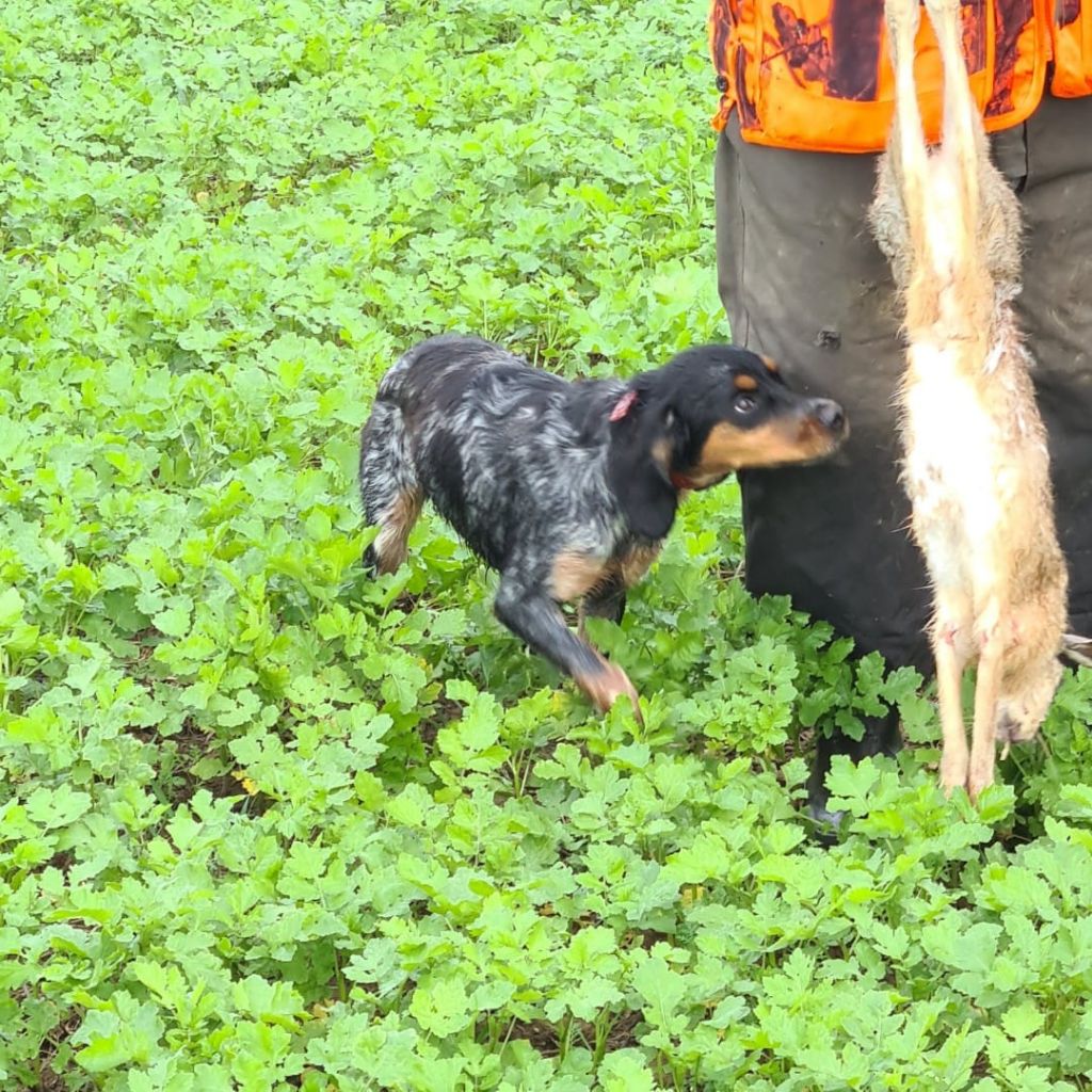 de la vallée de la Py - Reçu une photo de Truffe de la vallée de la py  merci