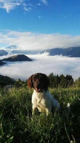 de la vallée de la Py - ENCORE UNE BELLE PHOTO DE LASSO