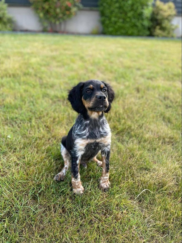 de la vallée de la Py - Reçu une photo de Trooper de la vallée de la py merci