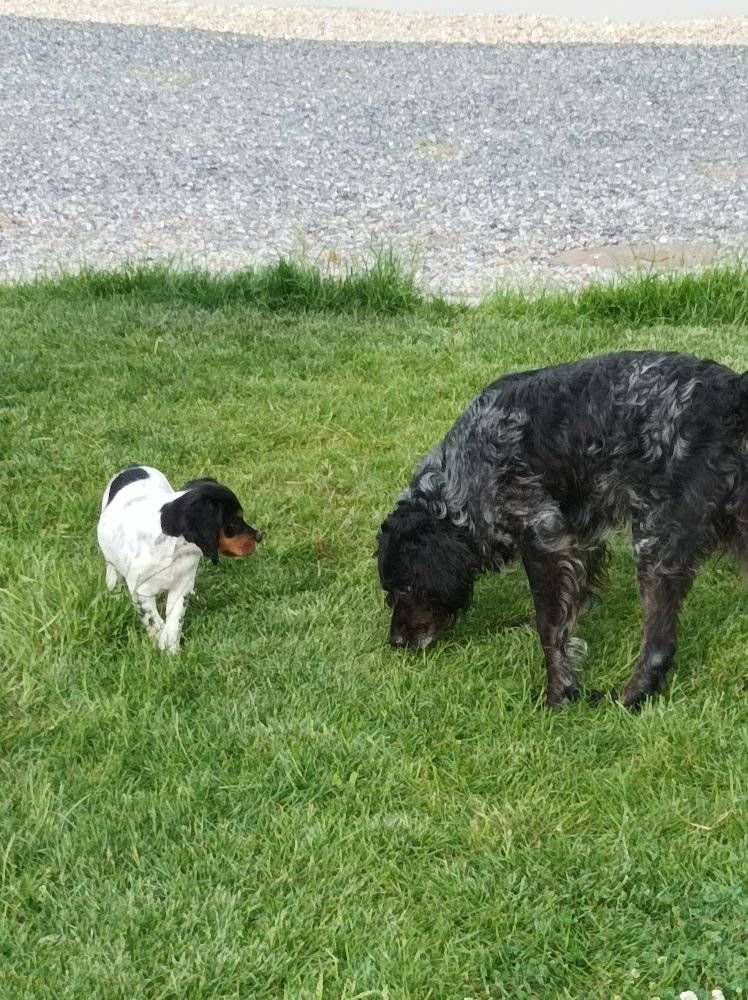 de la vallée de la Py - Petite visite chez les deux loulous 