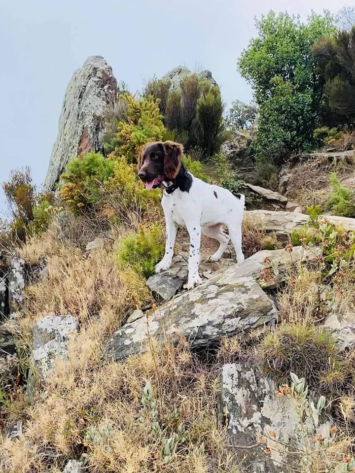 de la vallée de la Py - Reçu une photo de Sierra de la vallée de la py merci