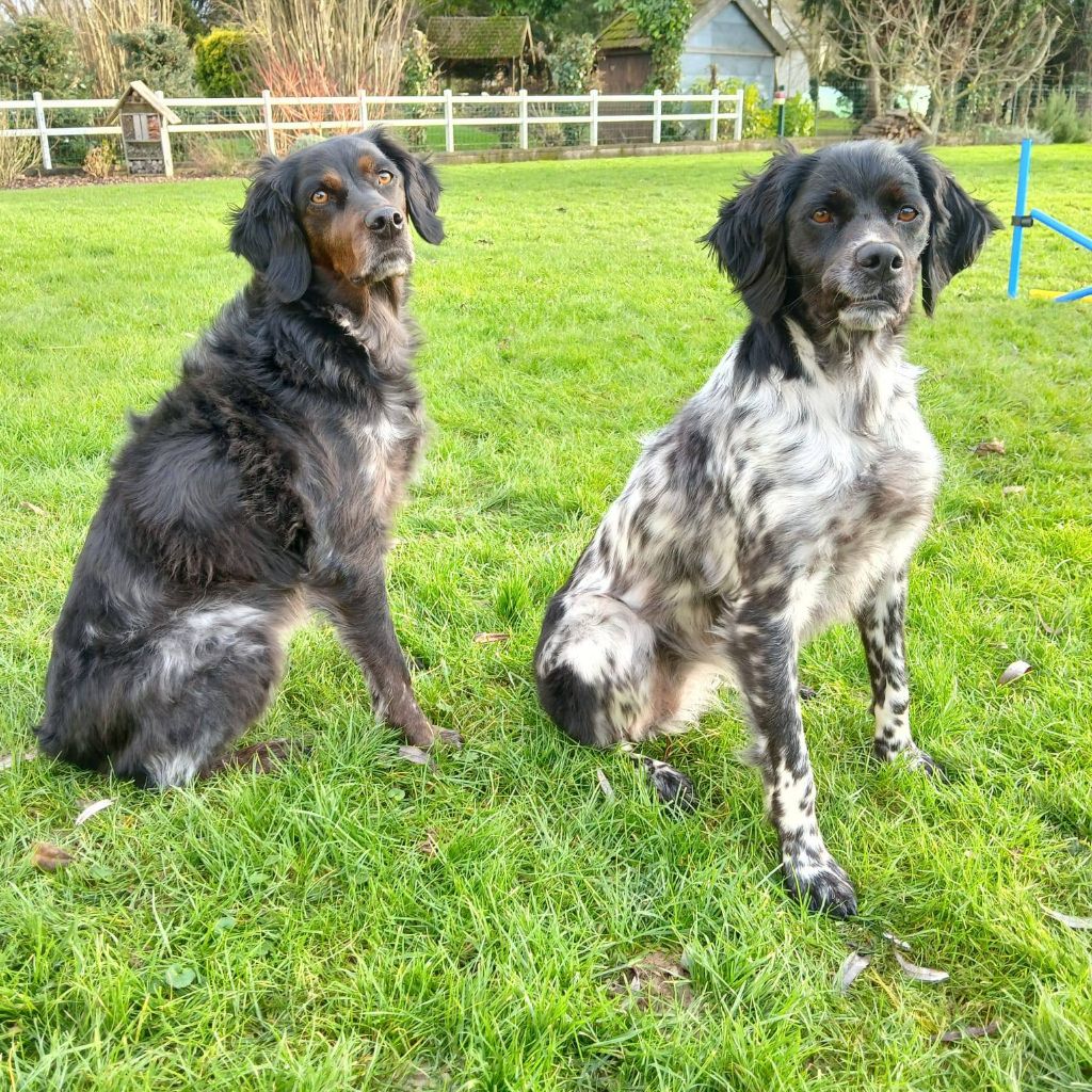 de la vallée de la Py - Reçu une photo de Oxa et Rika de la vallée de la py merci