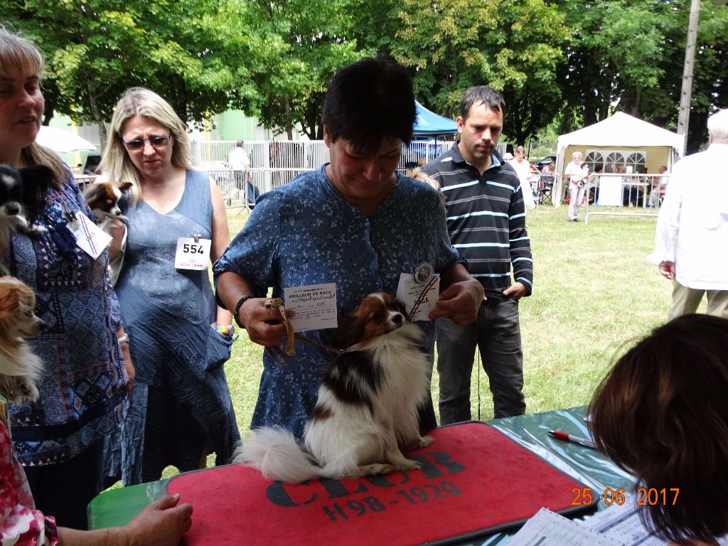 de la vallée de la Py - EXPOSITION  AVEC LUCKY DE LA VALLEE DE LA PY