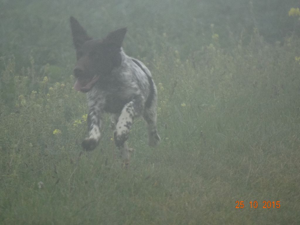 de la vallée de la Py - SORTIE DANS LE  BROUILLARD