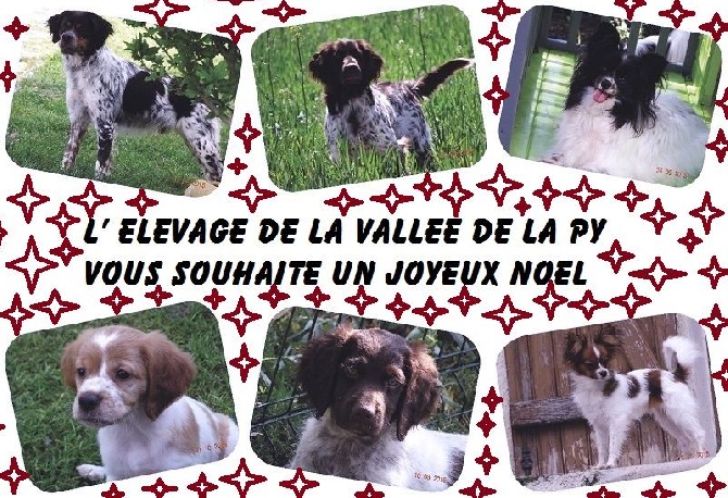 de la vallée de la Py - JOYEUX NOEL