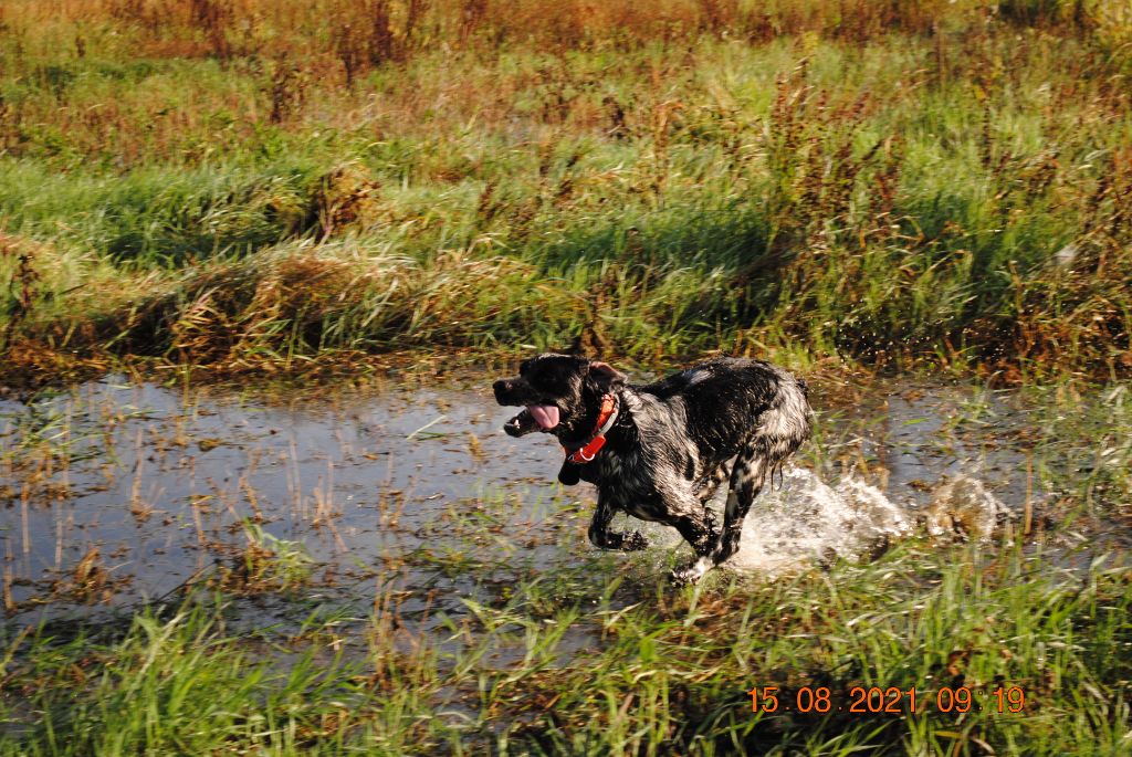 de la vallée de la Py - Une autre photo de Pit de la vallée de la py