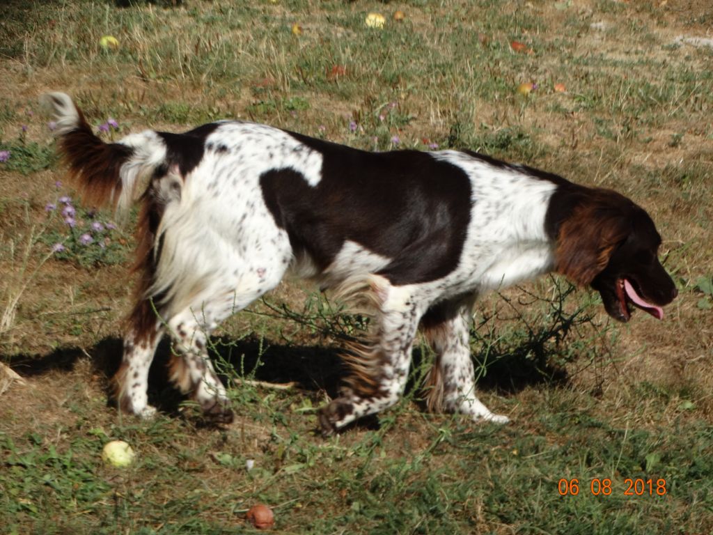 Gessy de la vallée de la Py