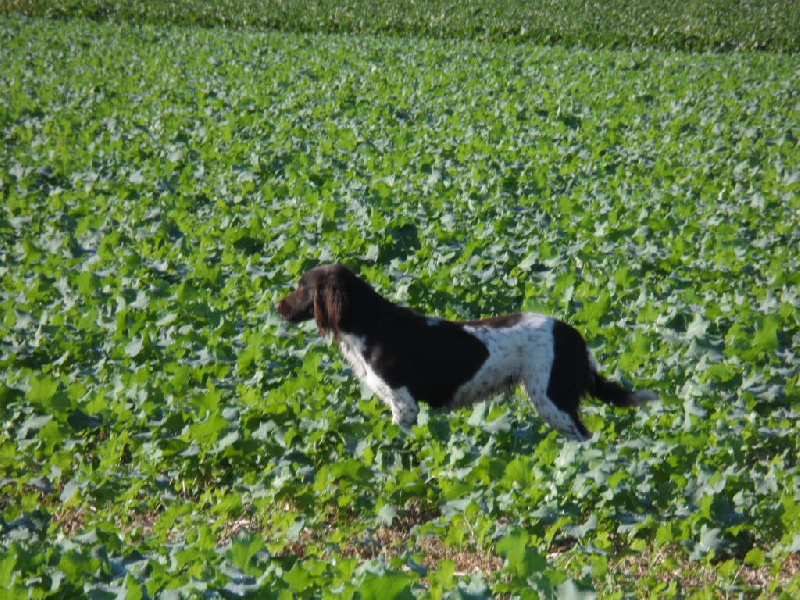 Gessy de la vallée de la Py