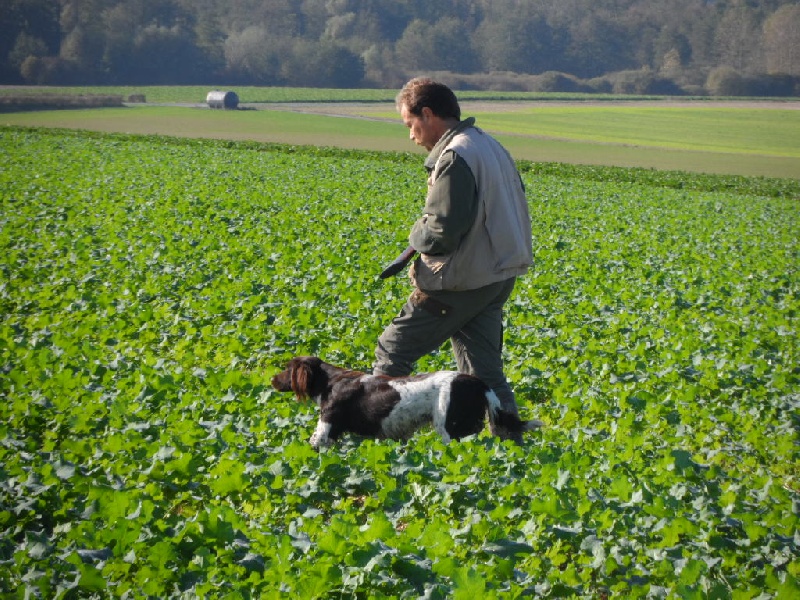 Gessy de la vallée de la Py