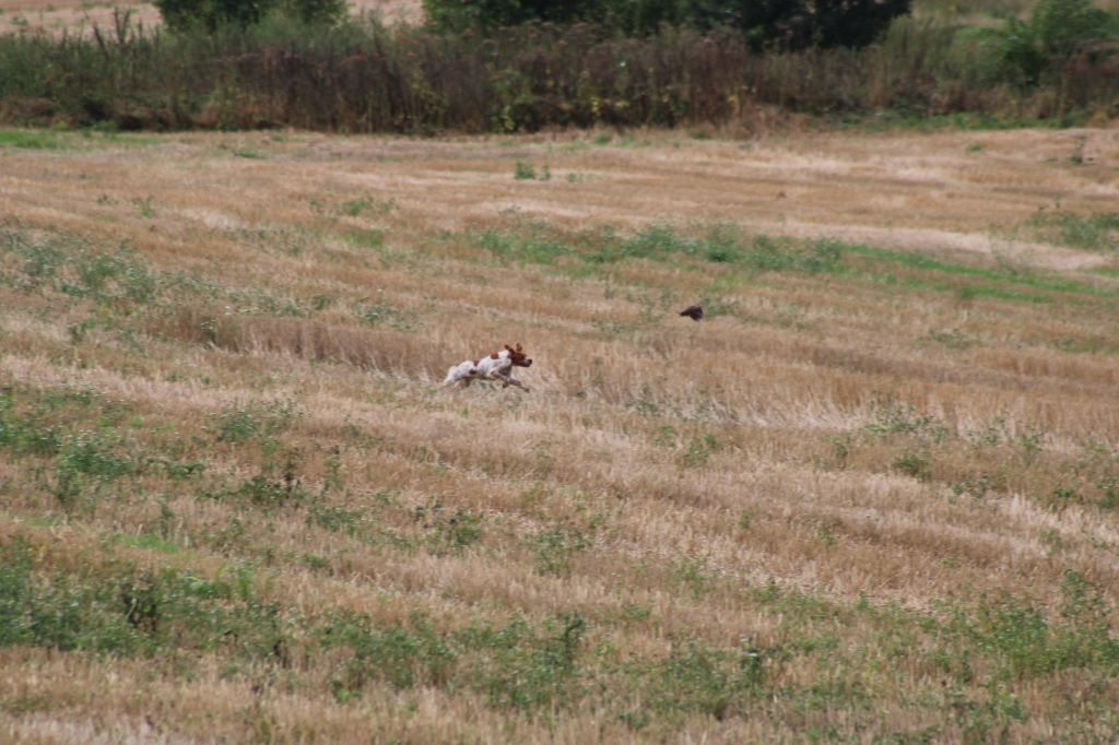 Ulka de la vallée de la Py