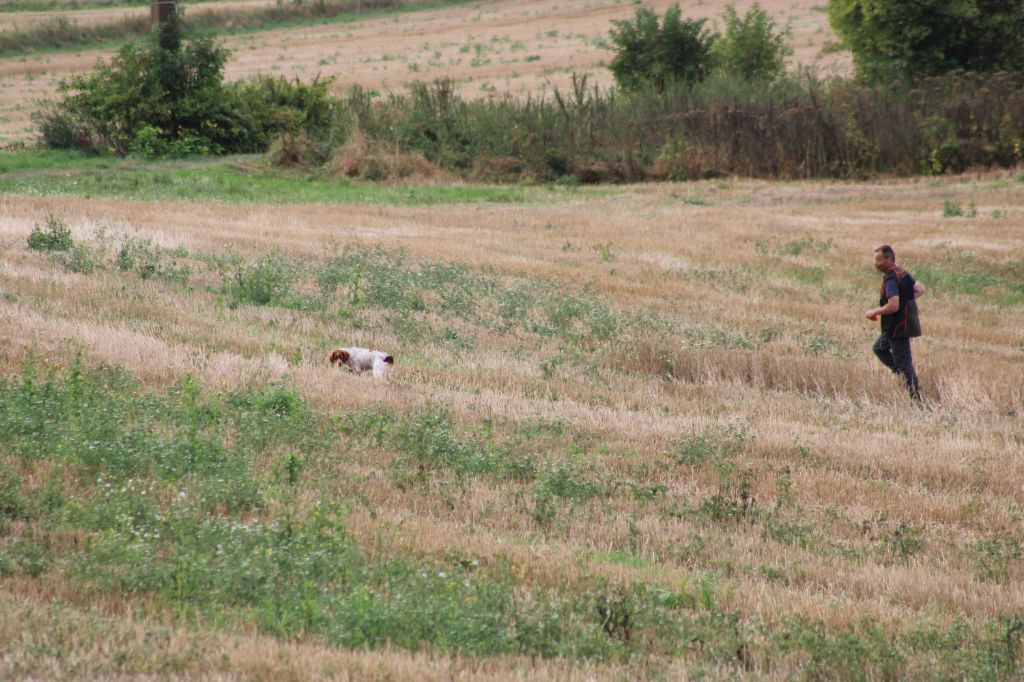 Ulka de la vallée de la Py