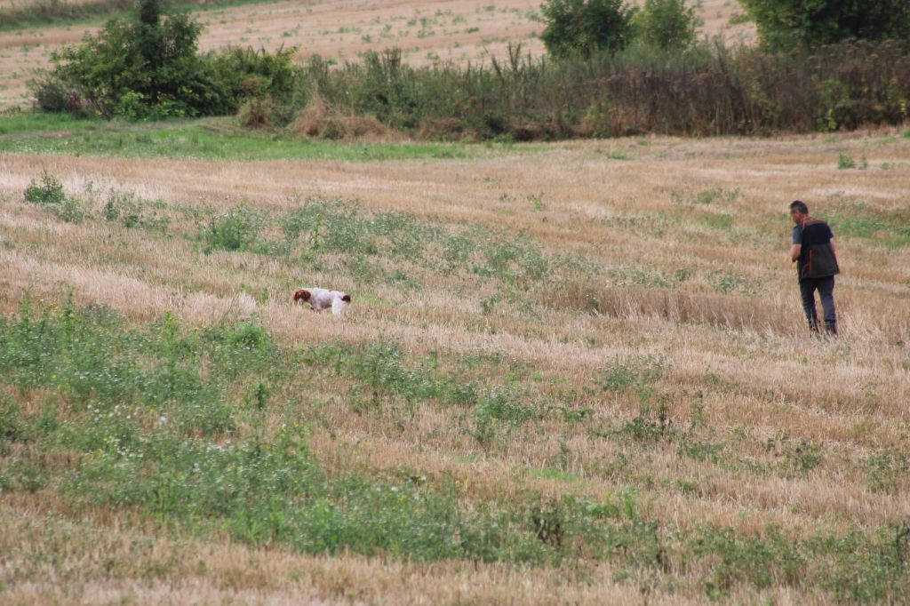 Ulka de la vallée de la Py