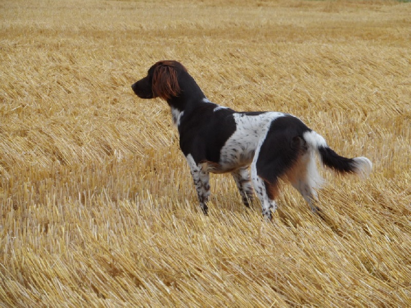 Gessy de la vallée de la Py