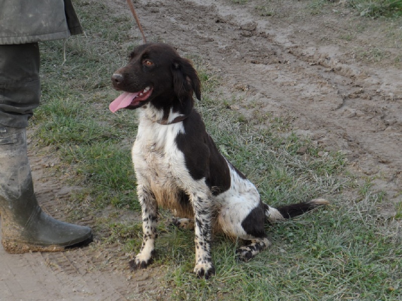 Gessy de la vallée de la Py