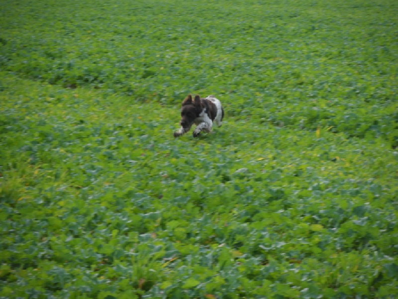 Gessy de la vallée de la Py