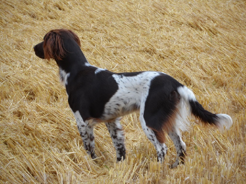 Gessy de la vallée de la Py