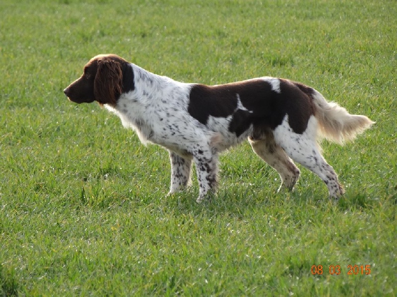 CH. TR. Geff de la vallée de la Py