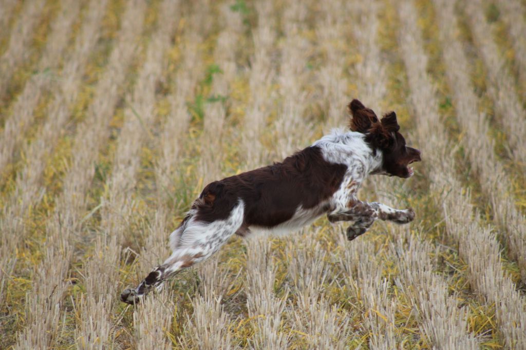 Speed de la vallée de la Py