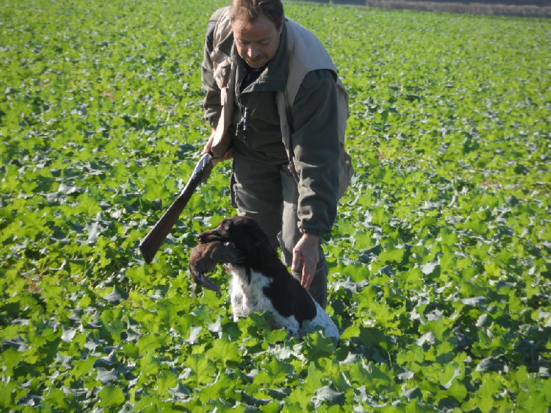 Gessy de la vallée de la Py