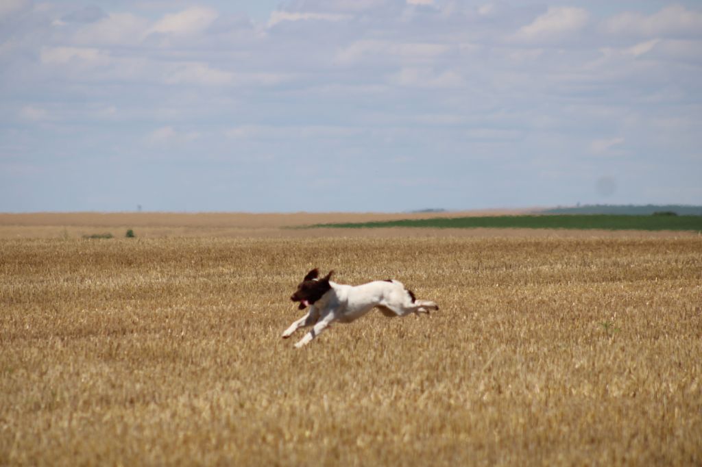 Pulco de la vallée de la Py