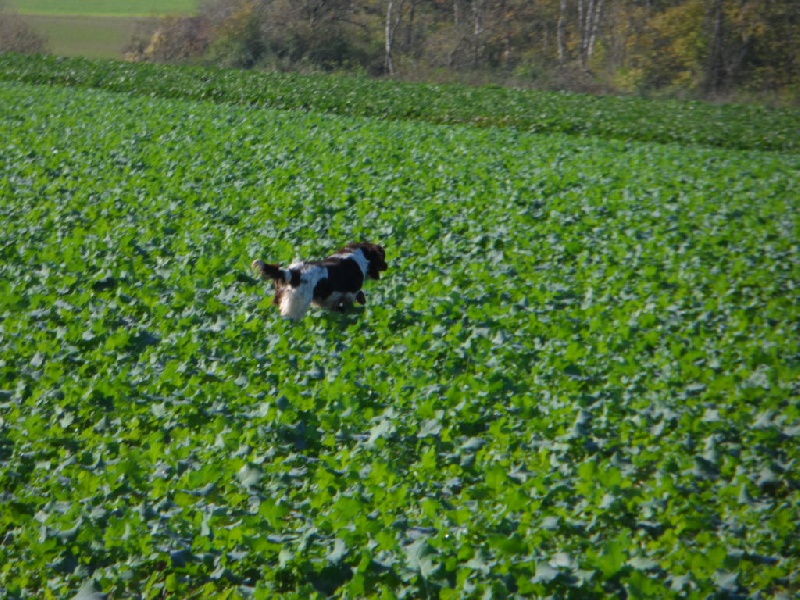 Gessy de la vallée de la Py