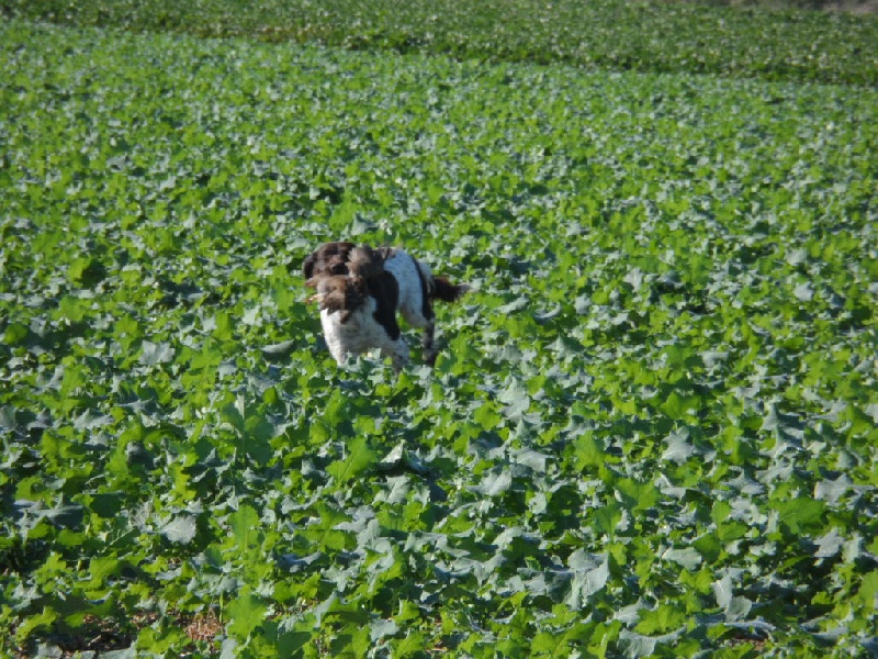 Gessy de la vallée de la Py