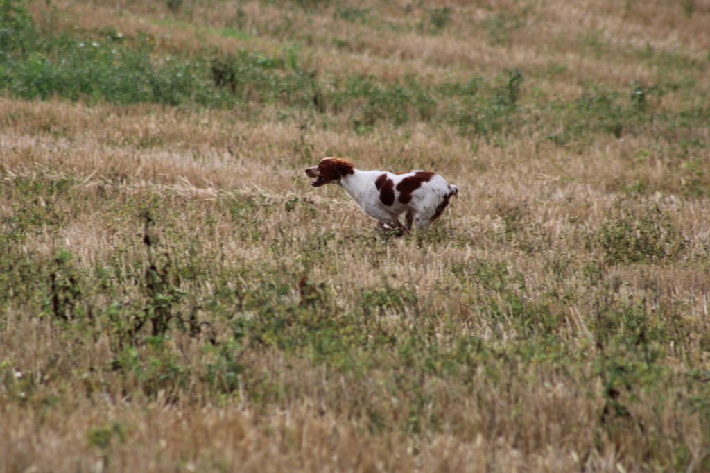 Taïna de la vallée de la Py