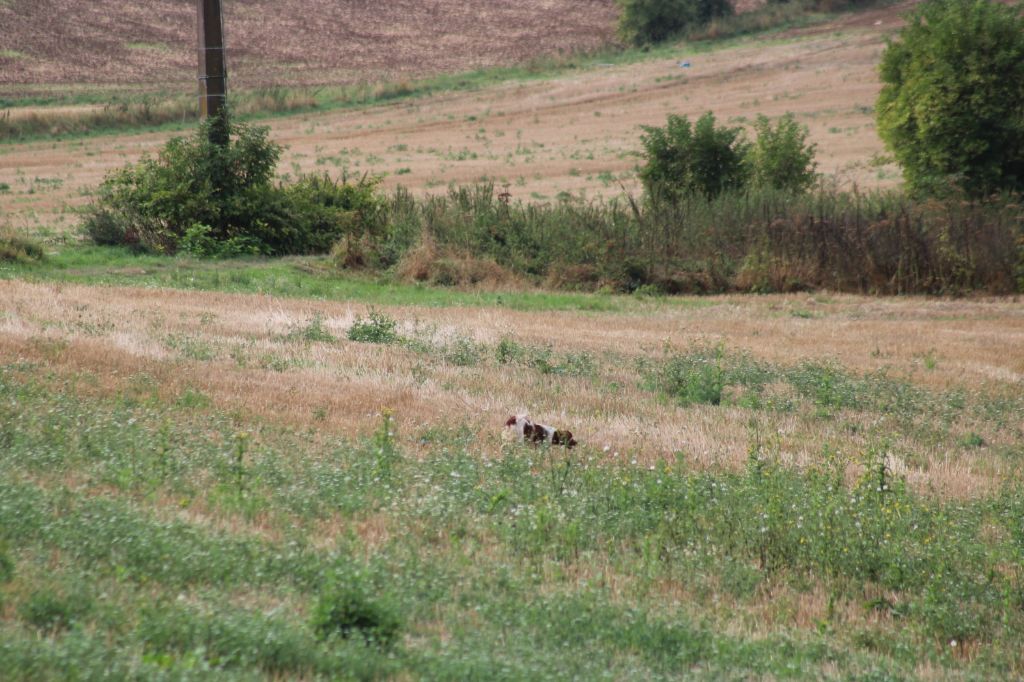 Taïna de la vallée de la Py