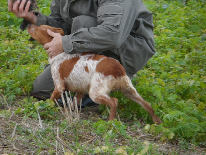 Hulma de la vallée de la Py