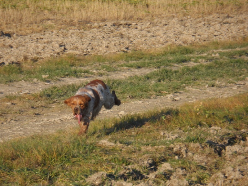 Hulma de la vallée de la Py