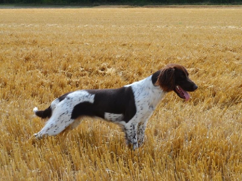 Gessy de la vallée de la Py