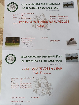 Udzo de la vallée de la Py - A LE TAN