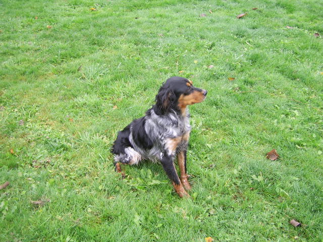 Axa De La Vallée De La Py