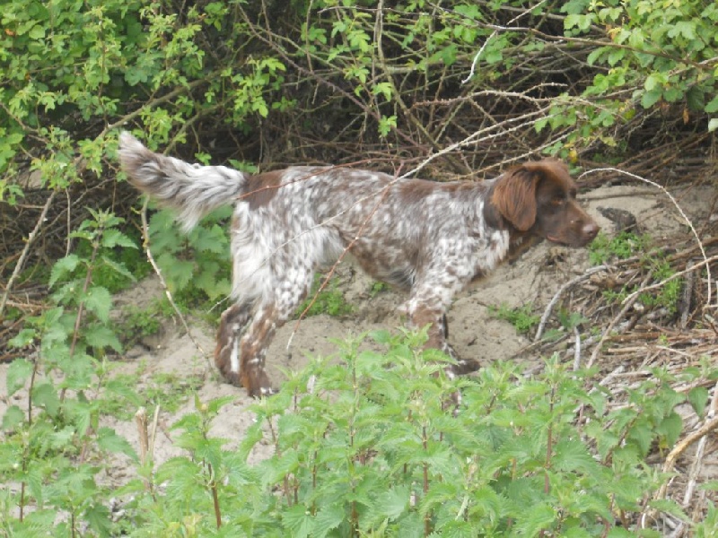 Hutéce de la vallée de la Py