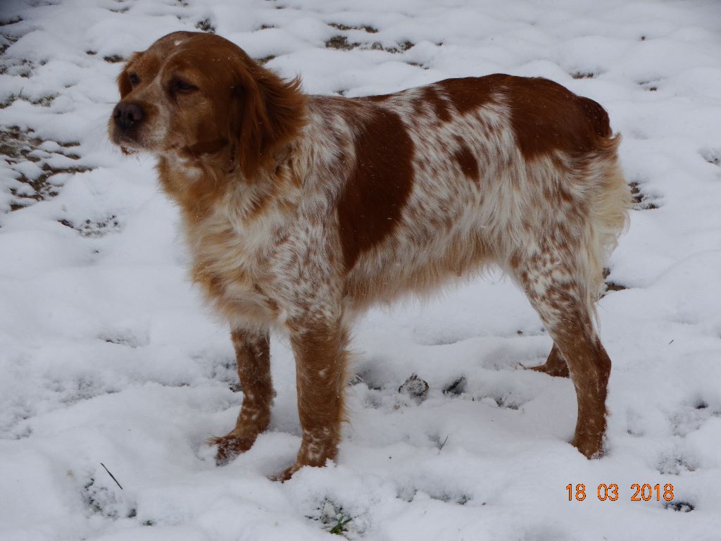 Hulma De La Vallée De La Py