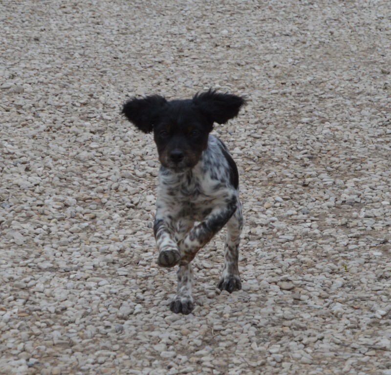 Melda De La Vallée De La Py