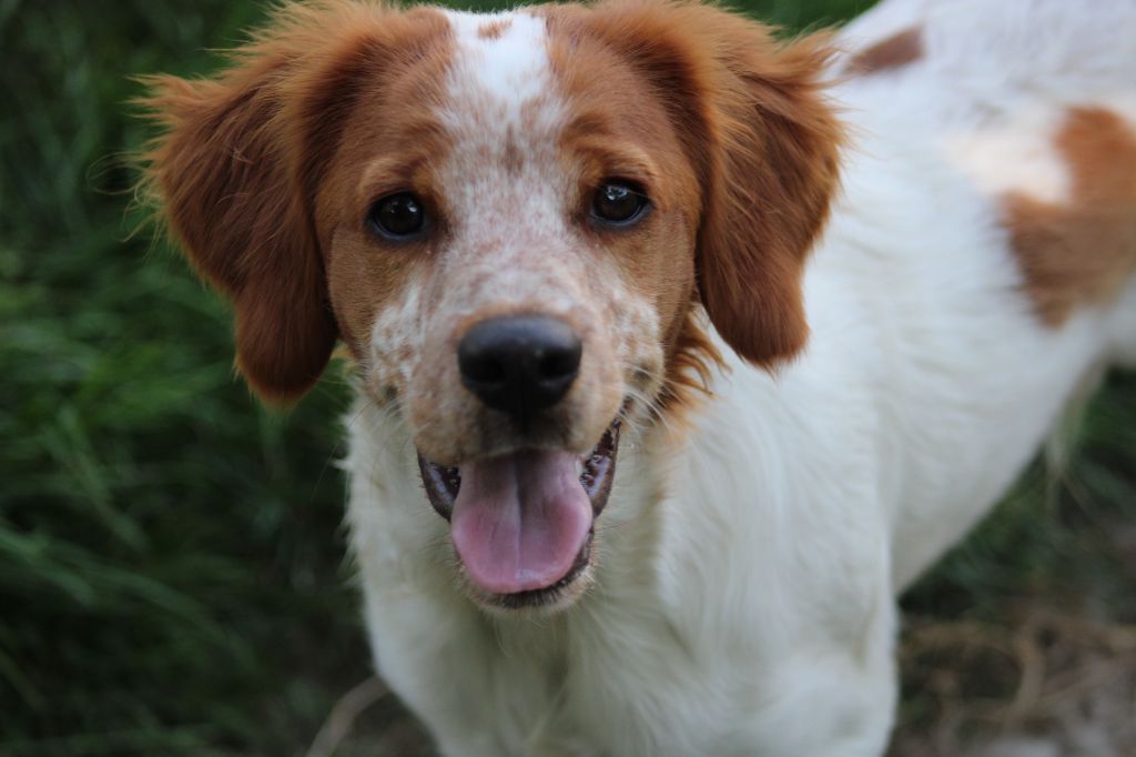 Tcho De La Vallée De La Py