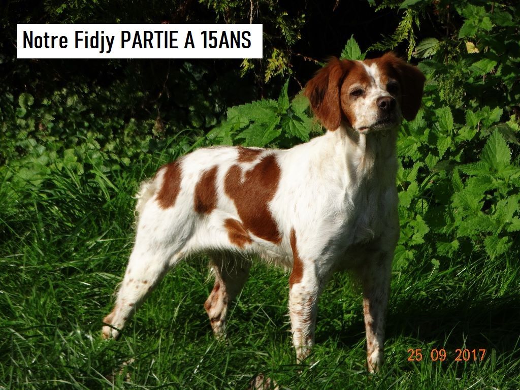 Fidjy de la vallée de la Py