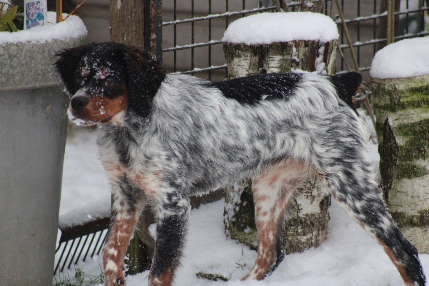 Ava De La Vallée De La Py