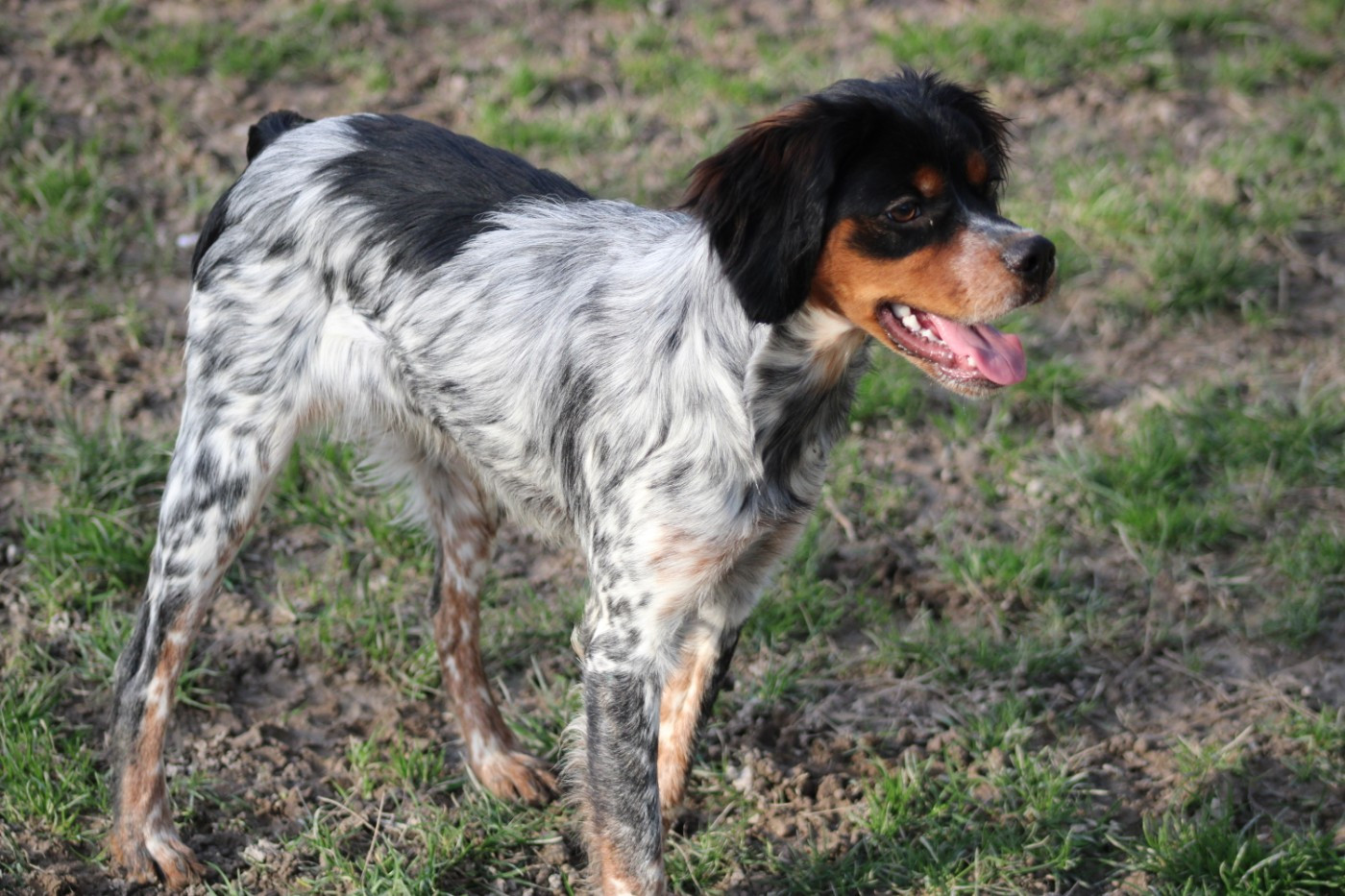 Ava De La Vallée De La Py