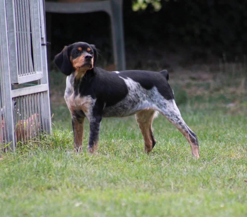 Abby De La Vallée De La Py