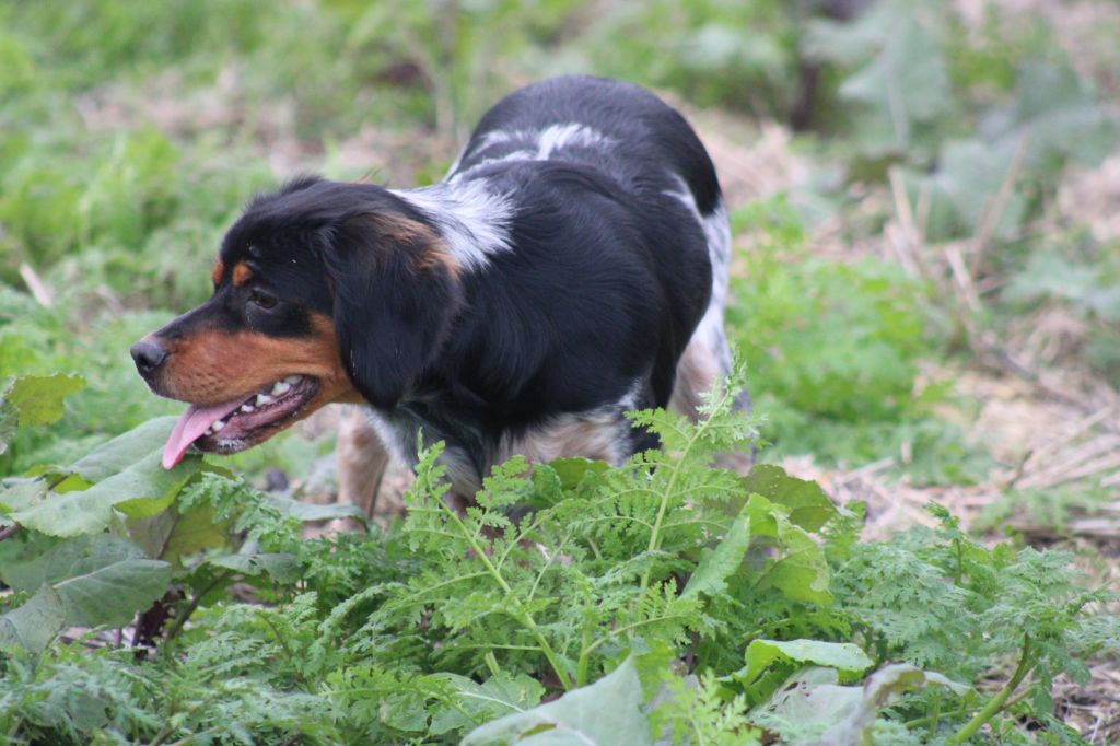 Abby De La Vallée De La Py