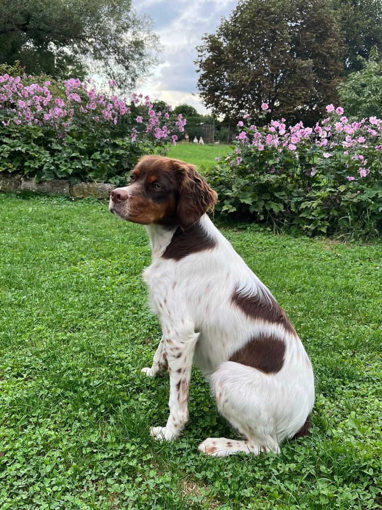 De La Vallée De La Py - Reçu une photo de ADRIENNE DE LA VALLEE DE LA PY  merci